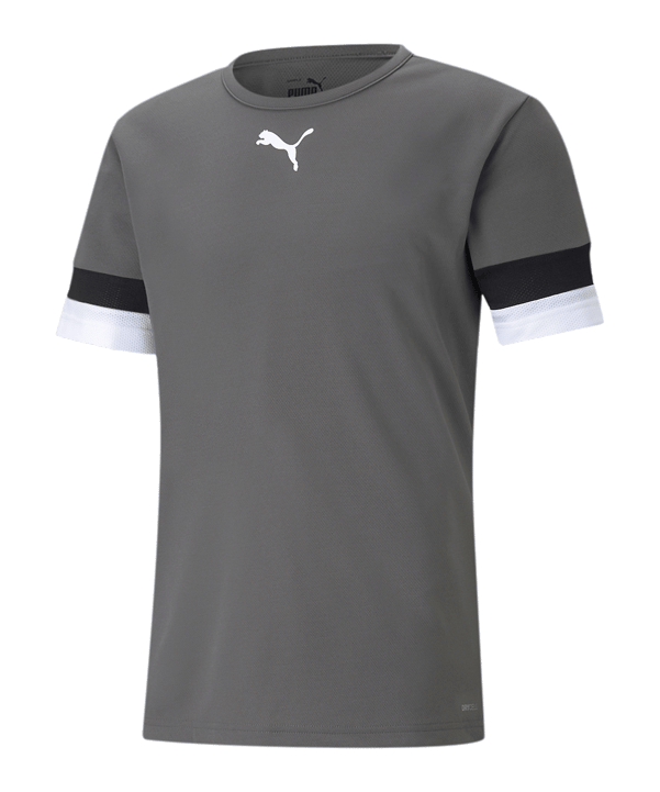 PUMA teamRISE Trikot Grau F13 - grau