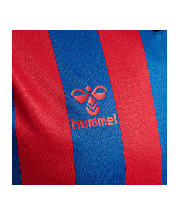 Hummel hmlCore XK Striped Trikot Blau F7358 - blau