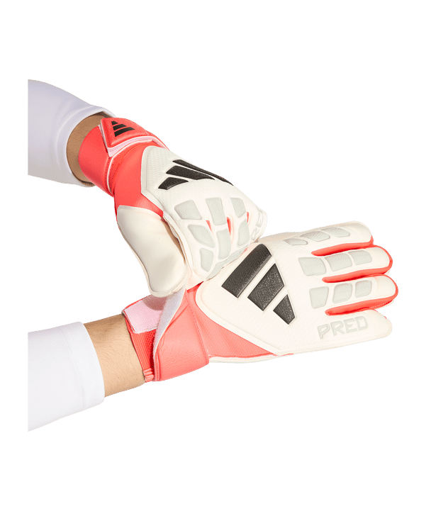 adidas Predator Match Torwarthandschuhe Weiß - weiss