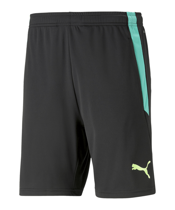 PUMA teamLIGA Training Short 2 Kids Schwarz F51 - schwarz