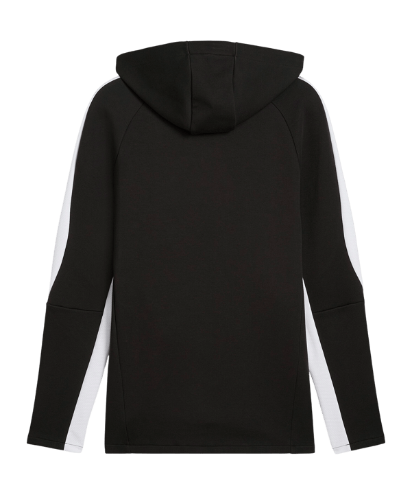 PUMA teamEvostripe Hoody Schwarz F03 - schwarz