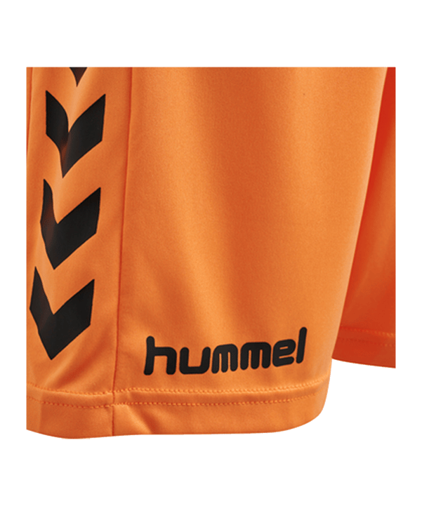 Hummel Core GK Torwarttrikotset Kids Orange F5006 - orange