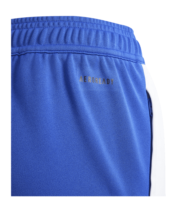 adidas Messi Trainingshose Kids Blau Weiss - blau