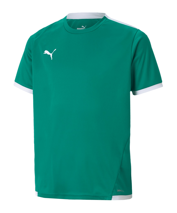 PUMA teamLIGA Trikot Kids Grün F05 - gruen