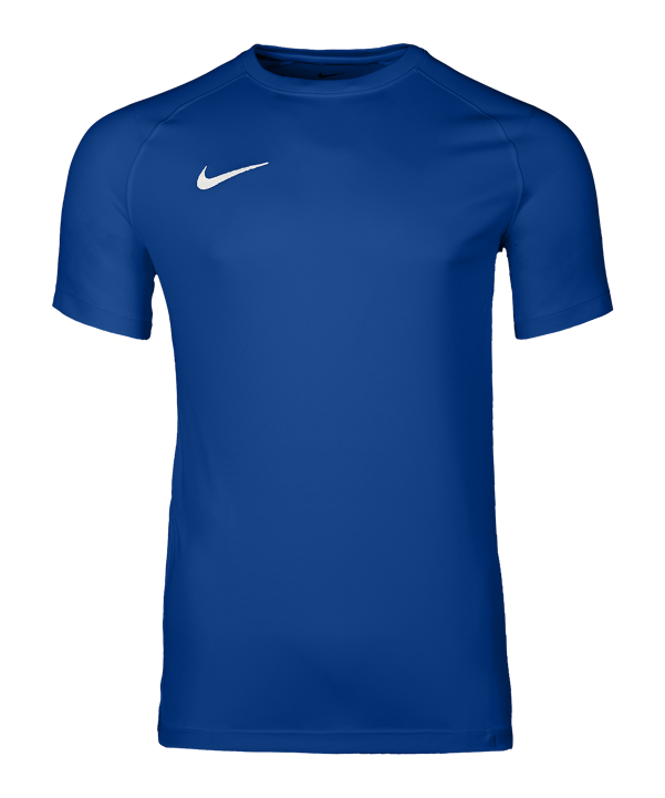 Nike Park VIII Trikot Blau F463 - blau