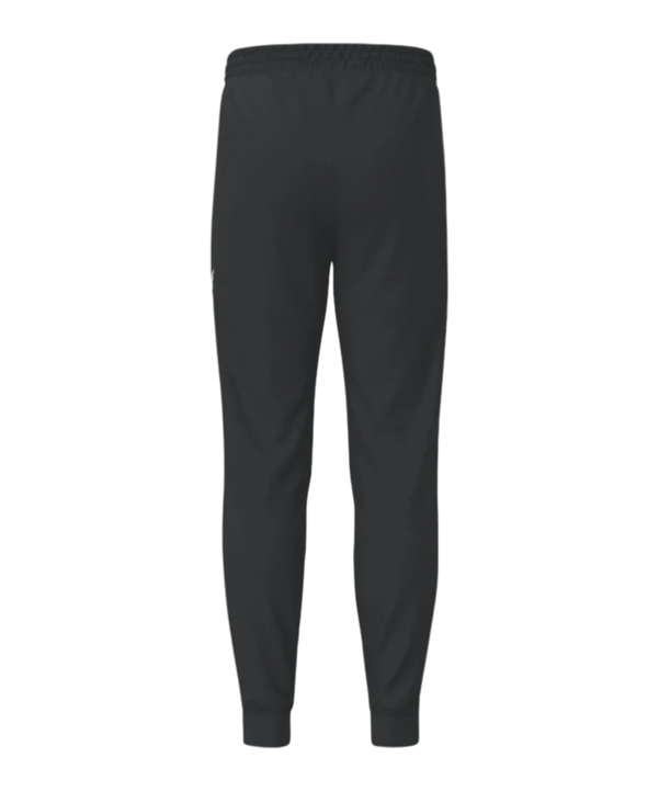 Erima CMPT WINGS Jogginghose Schwarz F2102605 - schwarz