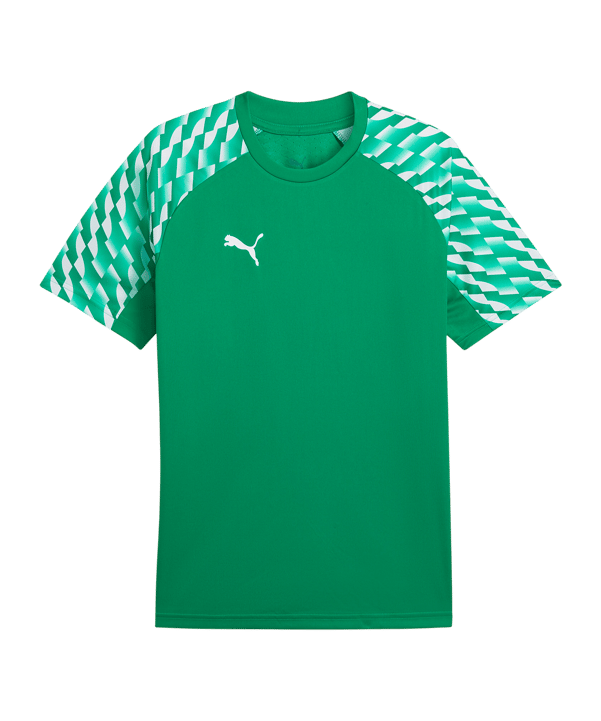 PUMA teamLIGA26 Trikot Grün F05 - gruen