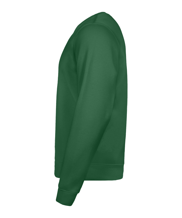 Nike Park 26 Sweatshirt Grün F302 - gruen