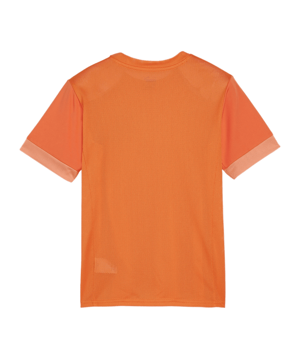 PUMA teamGOAL Matchday Trikot Kids Orange Weiss F08 - orange
