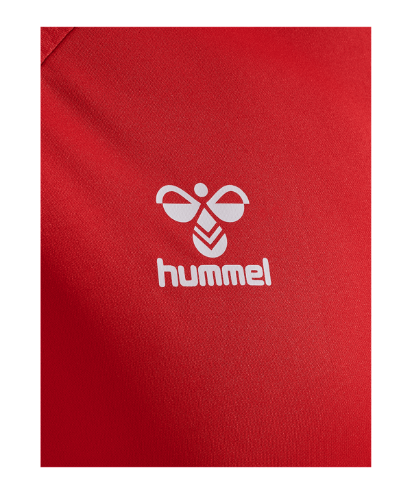 Hummel 1. FC Köln Pro Trainingsshirt Rot F3062 - rot