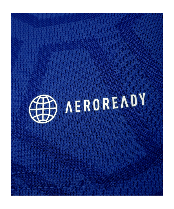adidas TSV Hartberg Trikot Home 2022/2023 Blau - blau
