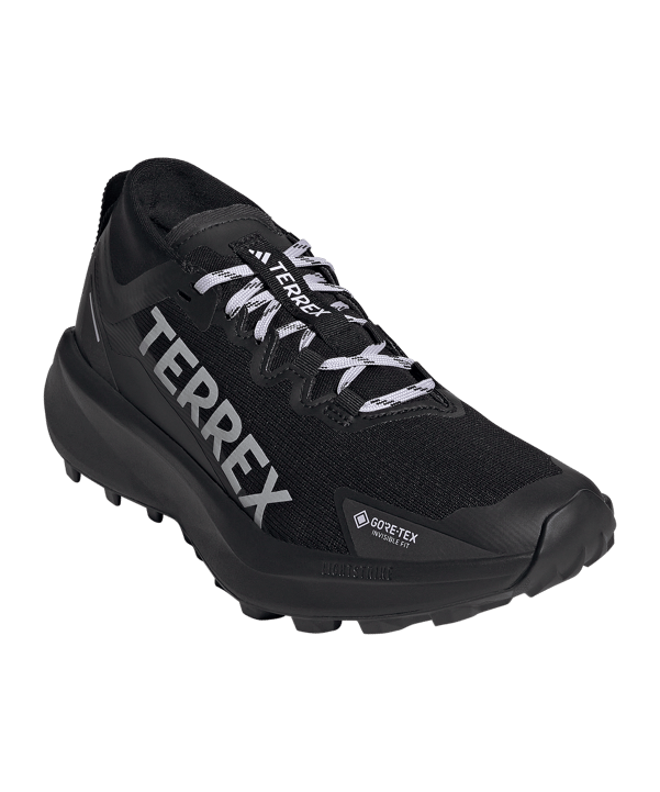 adidas Terrex Agravic GTX Schuh Damen Schwarz - schwarz