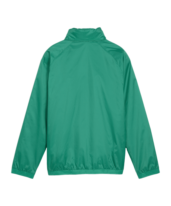 PUMA teamGOAL Allwetterjacke Kids Grün Weiss F05 - gruen
