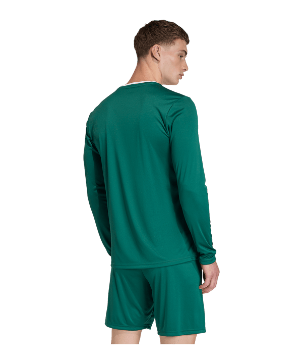 adidas Entrada 26 Trikot Langarm Grün - gruen