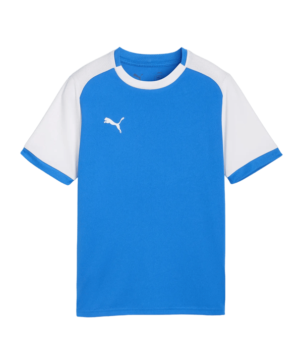 PUMA teamLIGA26 Matchday Trikot Kids Blau F02 - blau