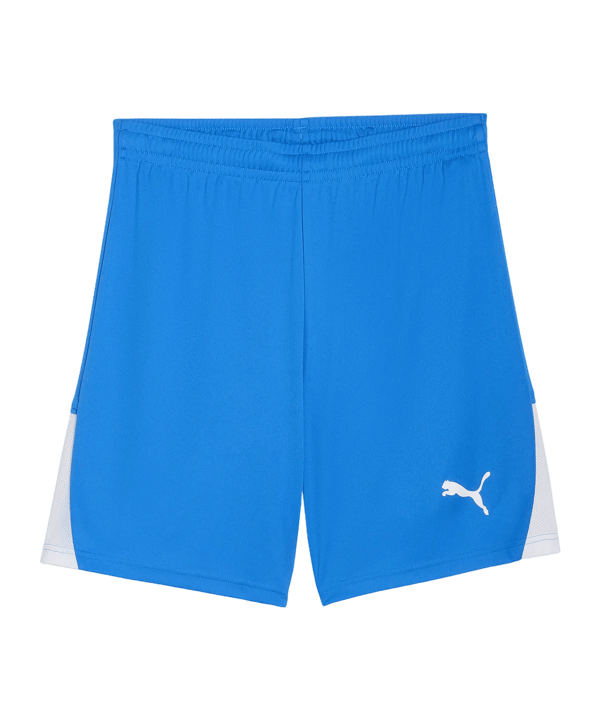 PUMA teamLIGA26 Short Blau F02 - blau