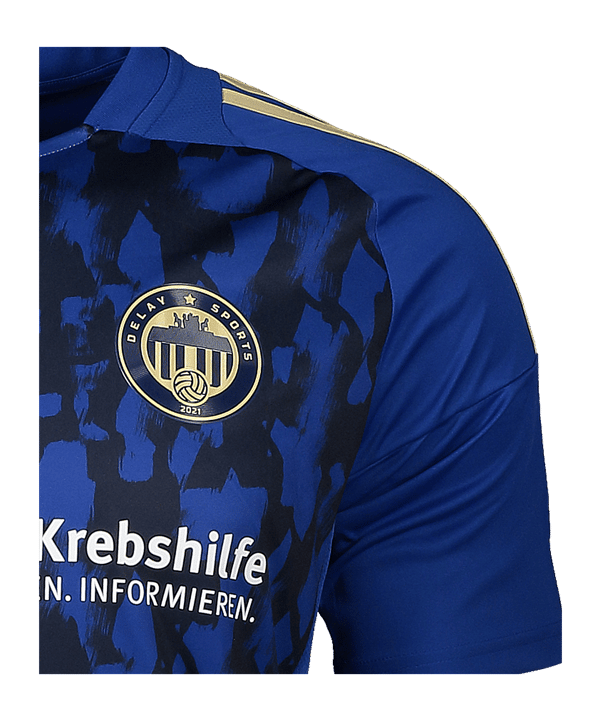 adidas Delay Sports Friede 10 Trikot 2024/2025 Blau - blau