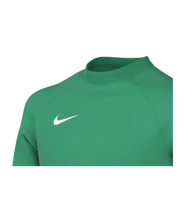 Nike Park V Trikot langarm Kids Grün F324 - gruen