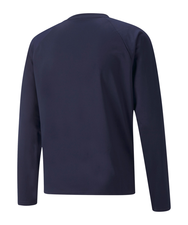 PUMA teamLIGA Trainig Sweatshirt Blau F06 - blau
