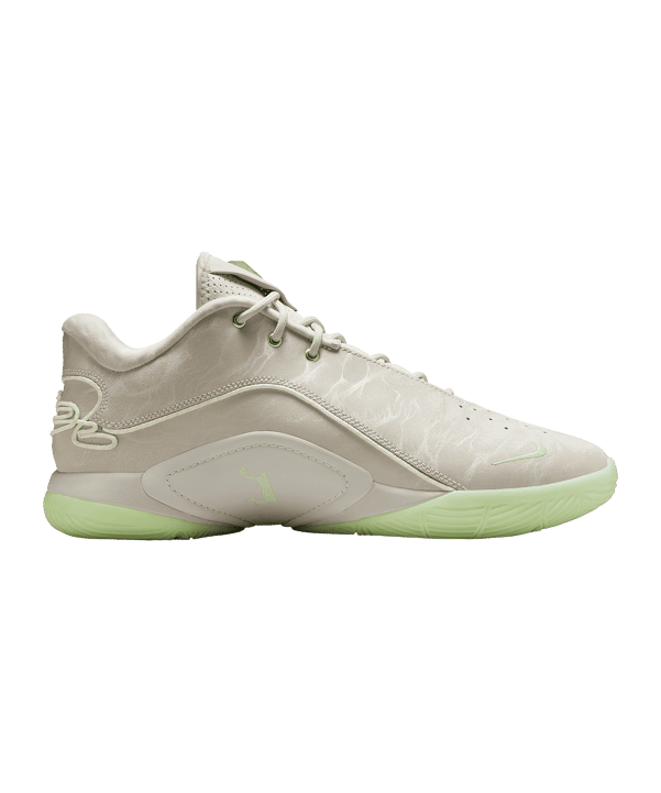 Nike LeBron XXII Dunkman Beige F002 - beige
