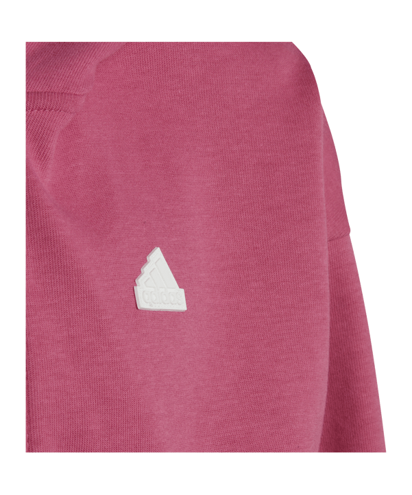 adidas Future Icons 3-Stripes Full-Zip Hoodie Pink - pink