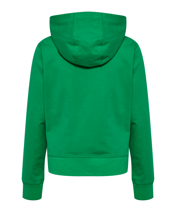Hummel GO 2.0 Sweat à capuche femmes vert F6235 - vert