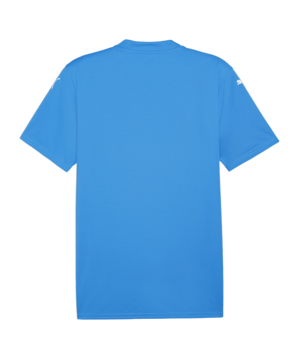 PUMA teamGLORY Trikot Blau Weiss Blau F02 - blau