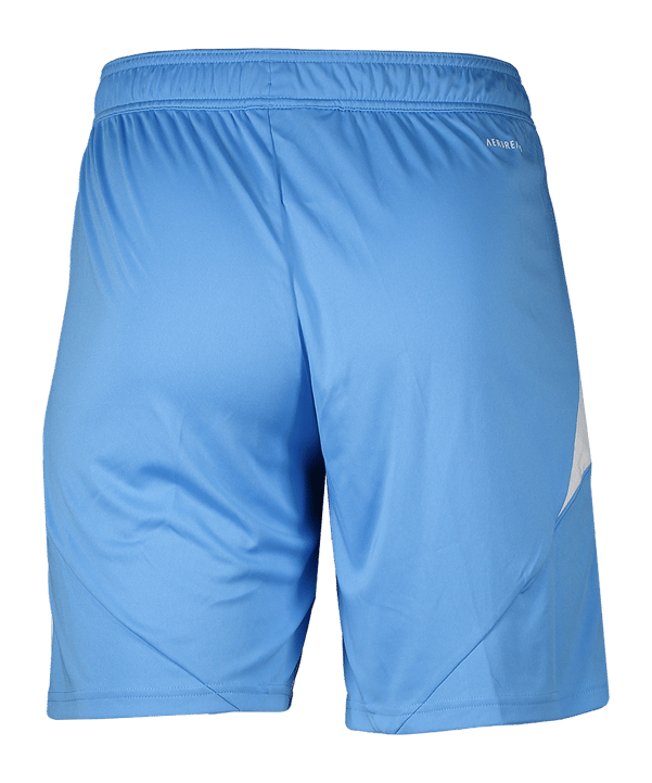 adidas 1. FC Nürnberg Torwartshort 2025/2026 Blau - blau