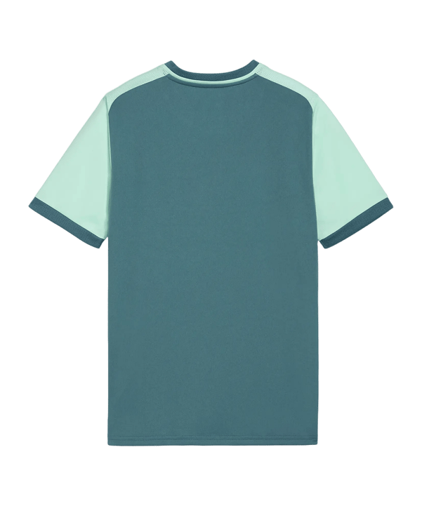 PUMA teamLIGA26 Matchday Trikot Kids Grün F43 - gruen