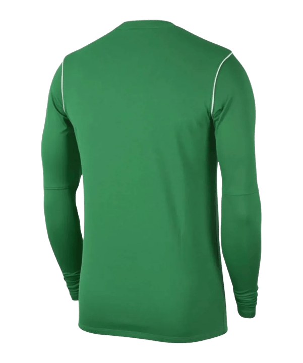 Nike Park 20 Sweatshirt Kids Grün Weiss F302 - gruen