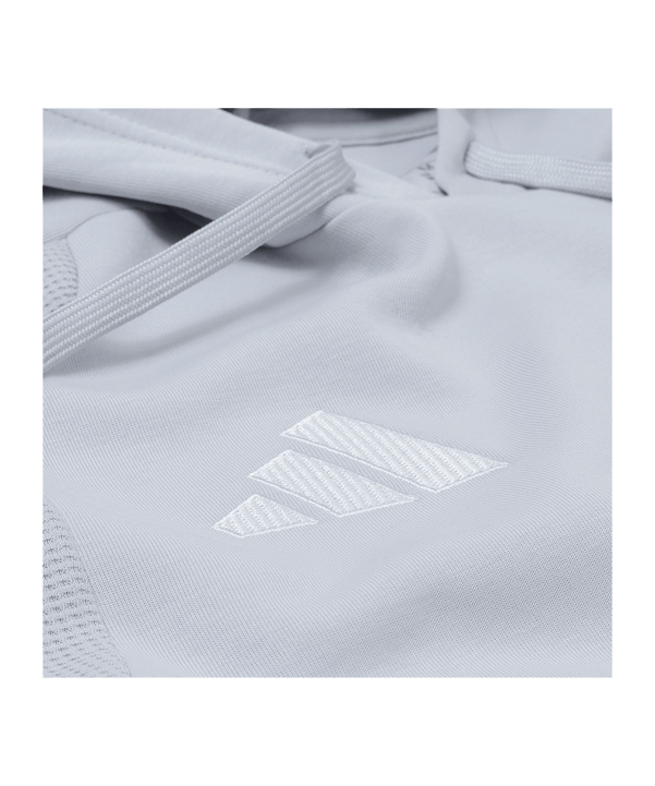 adidas Fortuna Düsseldorf Présentation Hoody Gris - gris
