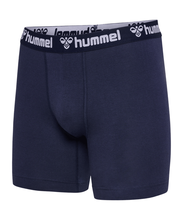 Hummel 2-Pack underwear Shorts blu F7026 - blu