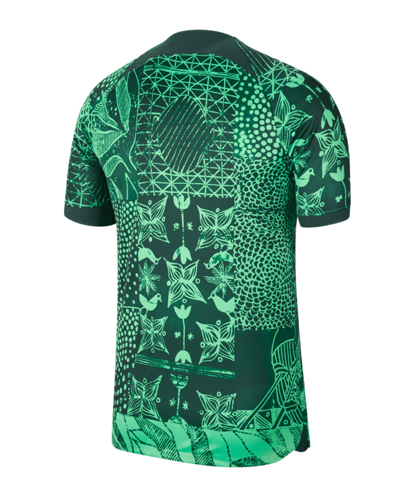 Nike Nigeria Trikot Home 2022 Grün F329 - gruen