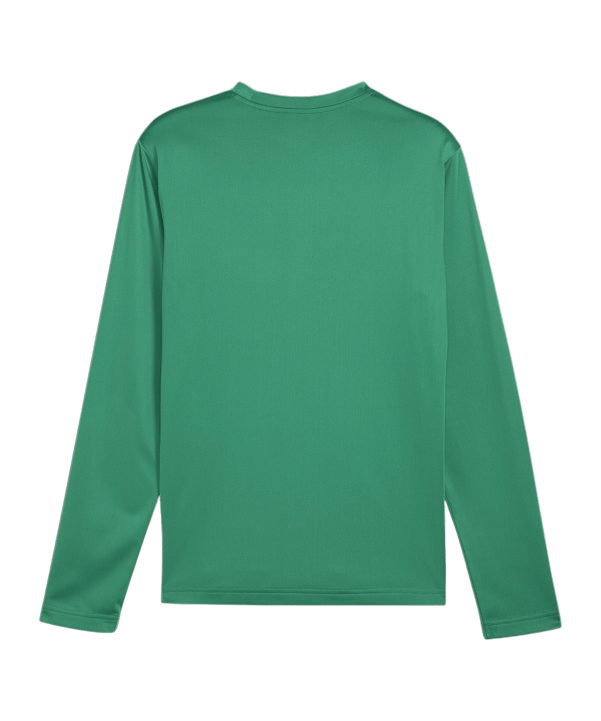 PUMA teamGOAL Training Sweatshirt Grün F05 - gruen