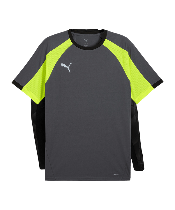 PUMA Trikot Grau F08 - grau
