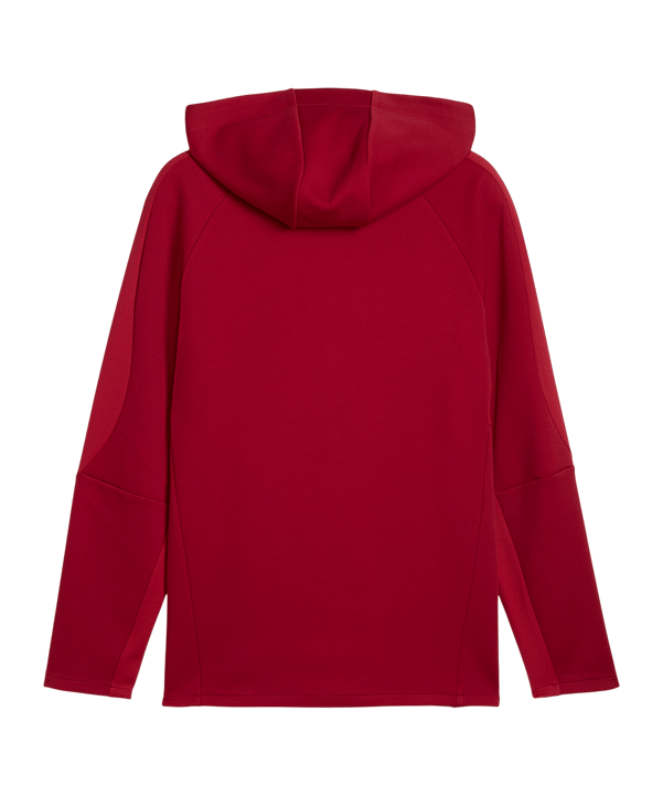 PUMA Galatasaray Istanbul Evostripe Kapuzenjacke Rot F01 - rot