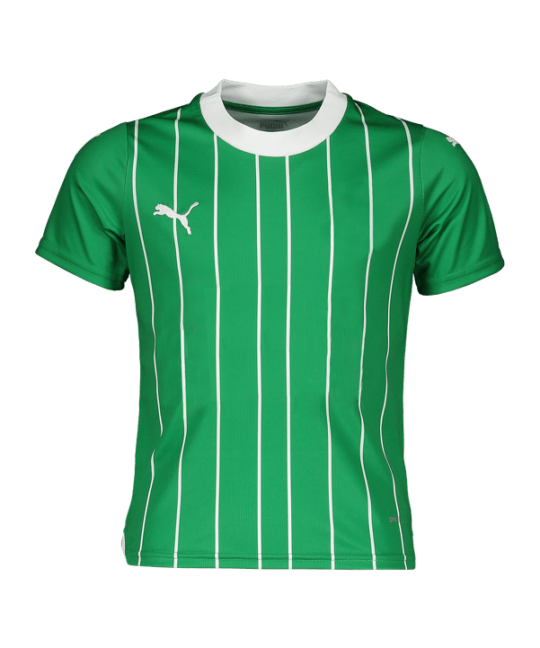 PUMA Trikot Kids Grün F01 - gruen