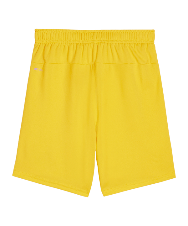 PUMA teamGOAL Short Kids Gelb Schwarz F07 - gelb