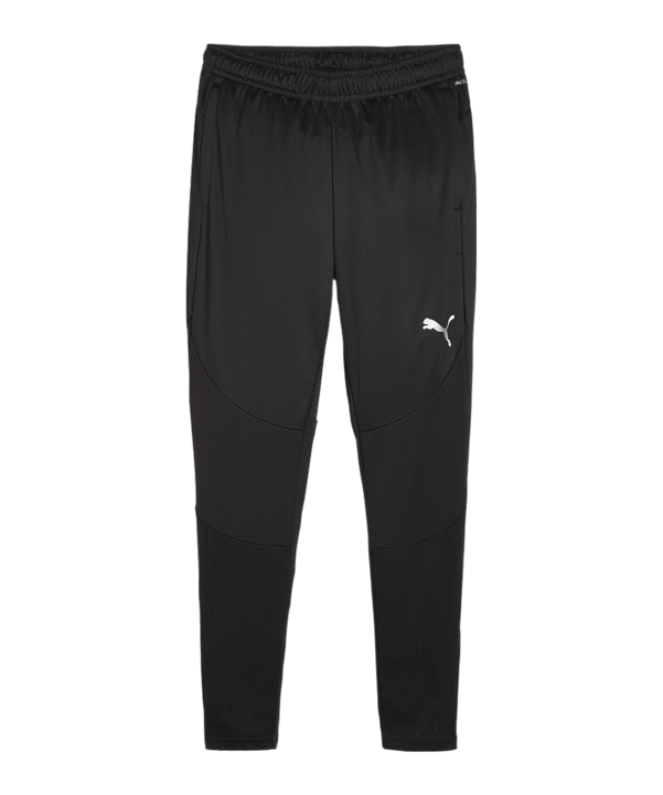 PUMA teamFINAL Trainingshose Schwarz F03 - schwarz