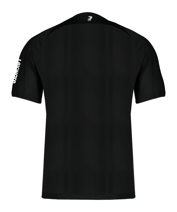 Nike SC Freiburg Trikot 3rd 2024/2025 Schwarz F010 - schwarz