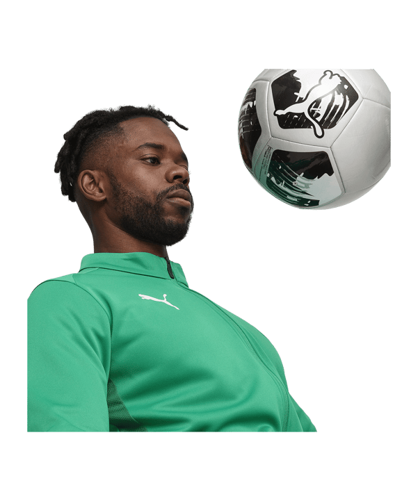 PUMA teamGOAL Trainingsjacke Grün F05 - gruen