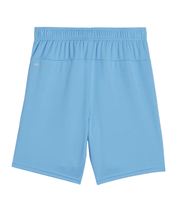 PUMA teamGOAL Short Kids Blau Weiss F18 - blau