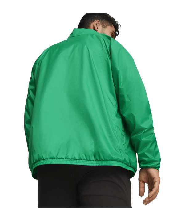 PUMA teamGOAL Allwetterjacke Grün Weiss F05 - gruen
