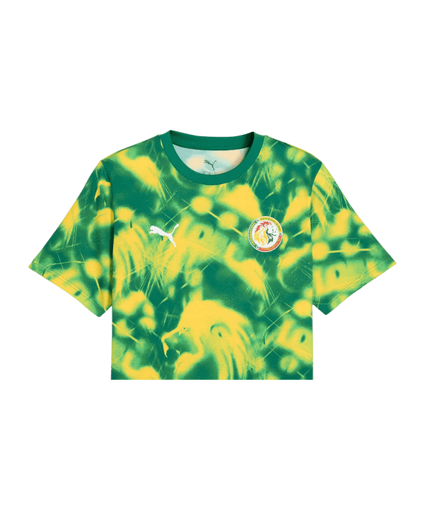 PUMA FSF Senegal FtblCulture AOP T-Shirt Grün F20 - gruen