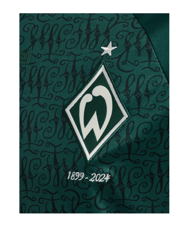Hummel SV Werder Bremen Trikot 125 Jahre 2023/2024 Grün F5069 - gruen