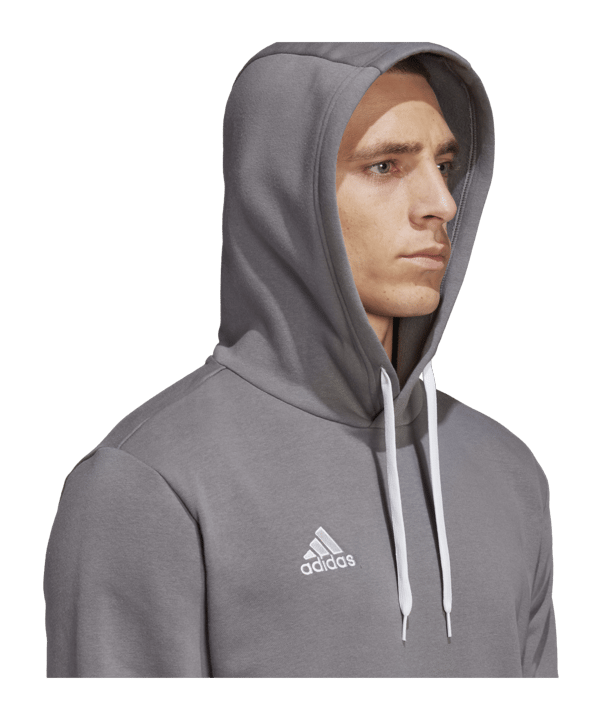 adidas Entrada 22 Hoody Grau - grau