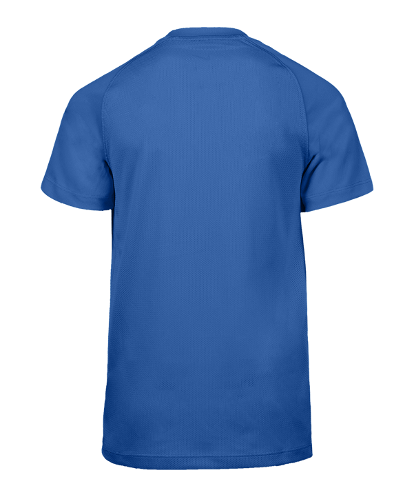 Nike Park VIII Trikot Kids Blau F463 - blau