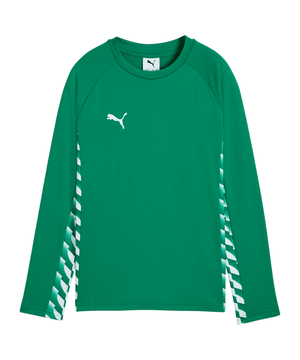 PUMA teamLIGA26 Training Sweatshirt Kids Grün F05 - gruen