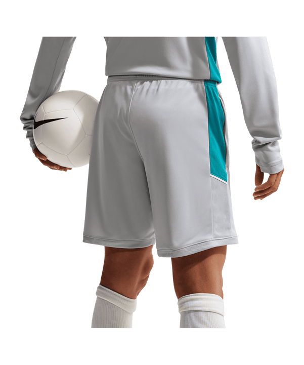 Nike Academy Short Grau F012 - grau