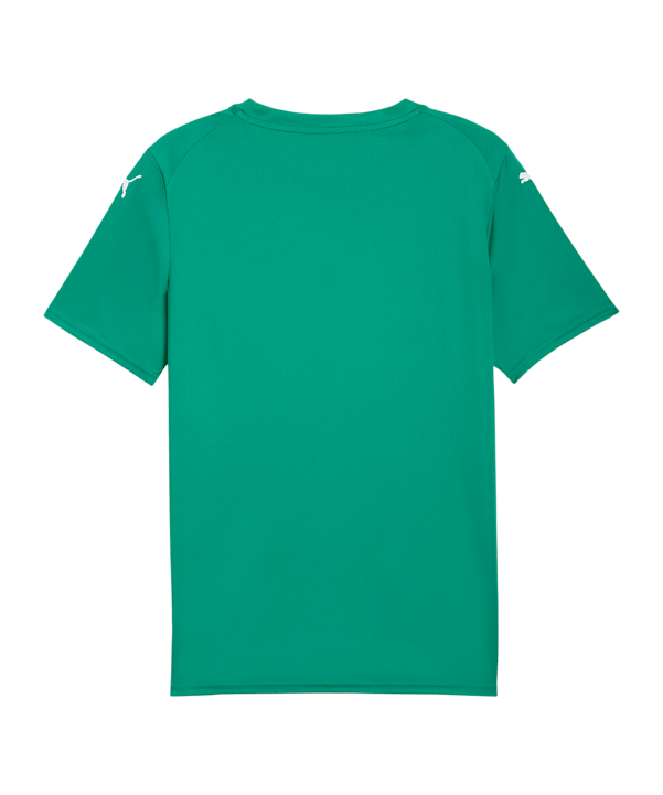 PUMA teamFINAL Graphic Trikot Grün F05 - gruen